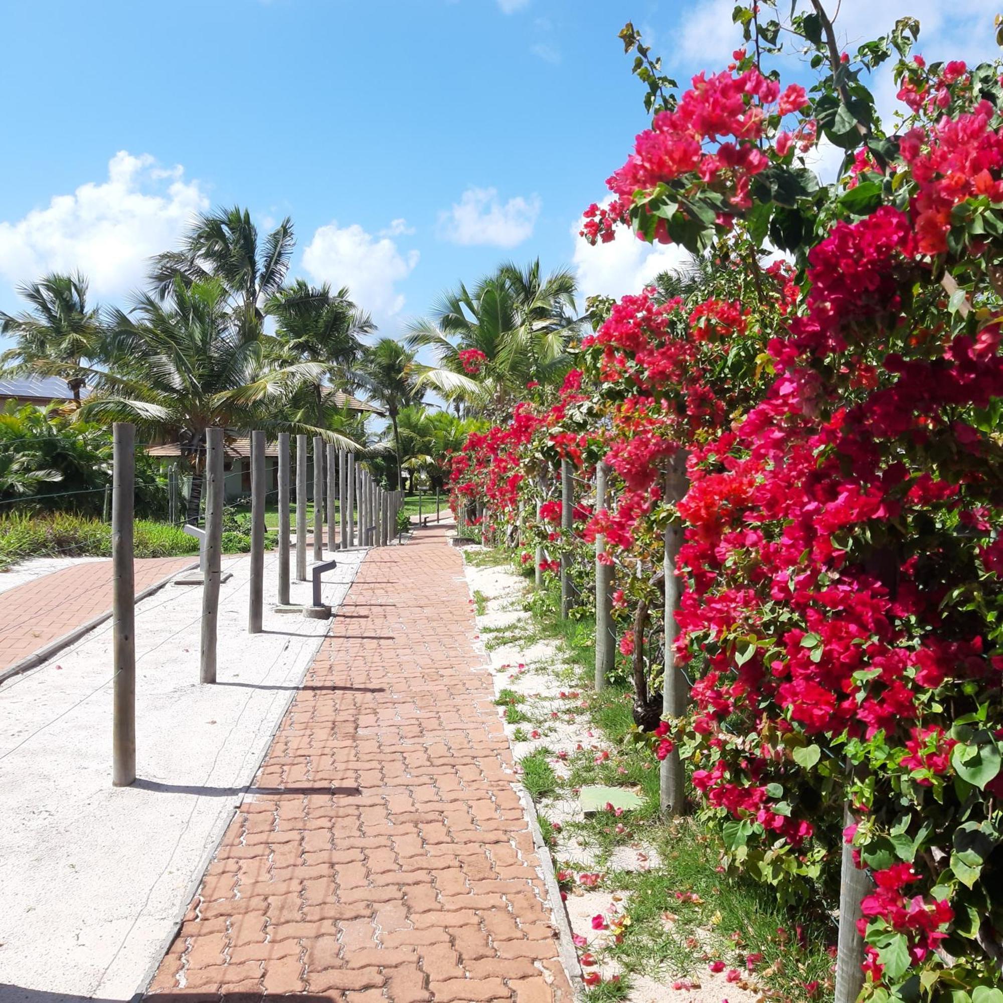 Praia Do Forte Village Das Acacias Екстер'єр фото